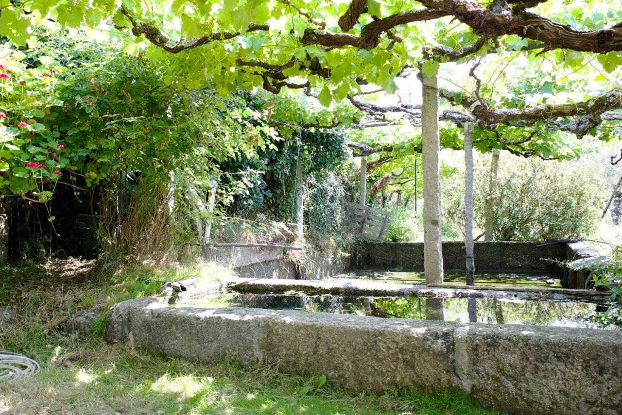 Вілла Quinta De S. Cipriano Резенде Екстер'єр фото