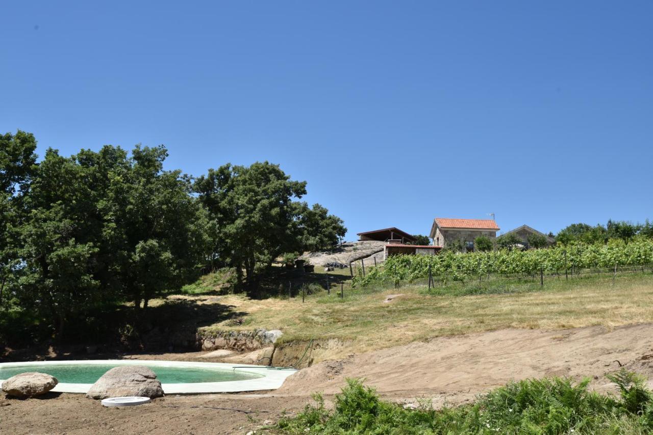 Вілла Quinta De S. Cipriano Резенде Екстер'єр фото